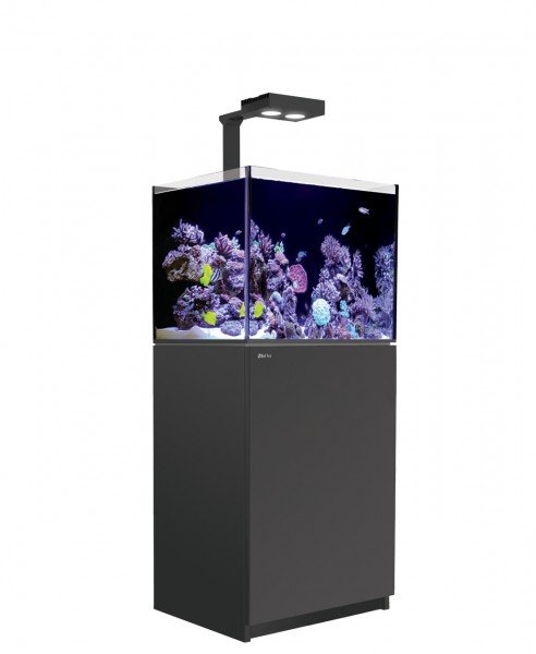 Red Sea REEFER 170 Deluxe (G2 - Modelljahr 2022) 1 x LED 90 Meerwasseraquarium mit Unterschrank